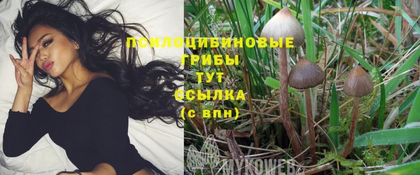 кокаин колумбия Новозыбков