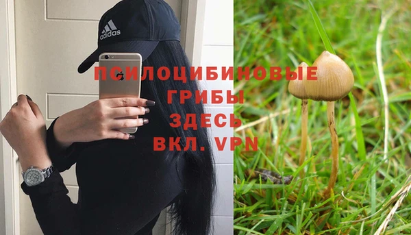 apvp Новодвинск