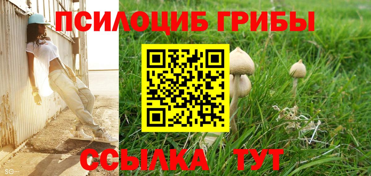 Галлюциногенные грибы прущие грибы Скопин