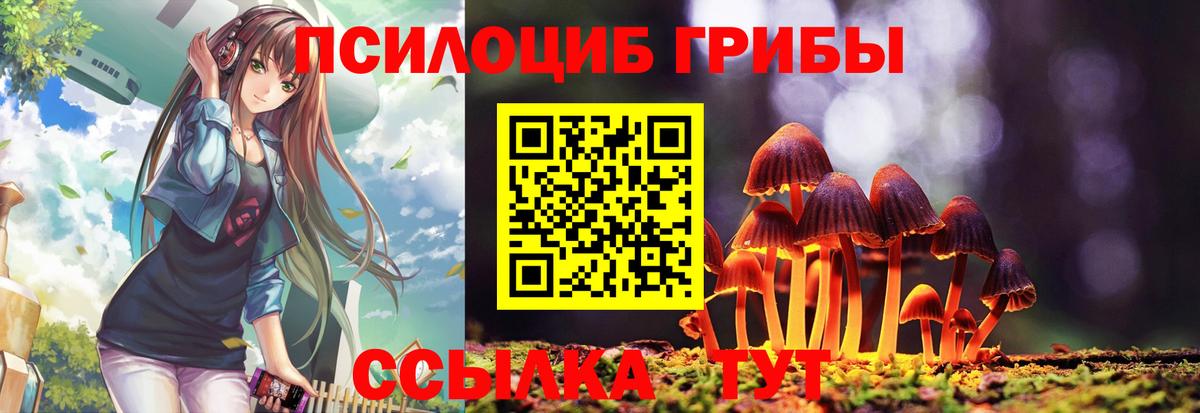 Скопин  Псилоцибиновые грибы Psilocybine cubensis  Вход с VPN 